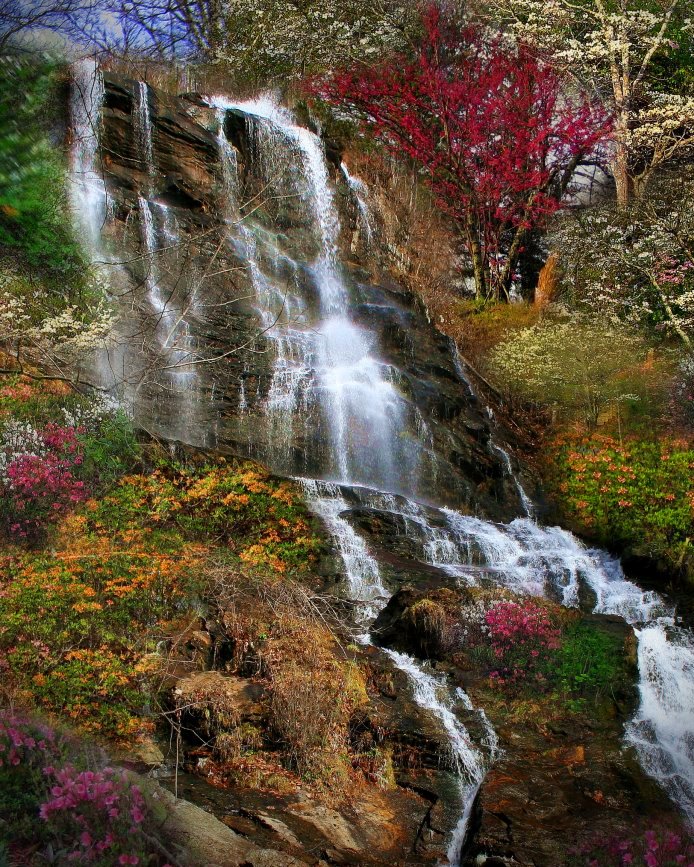 waterfalls at amicalola state park