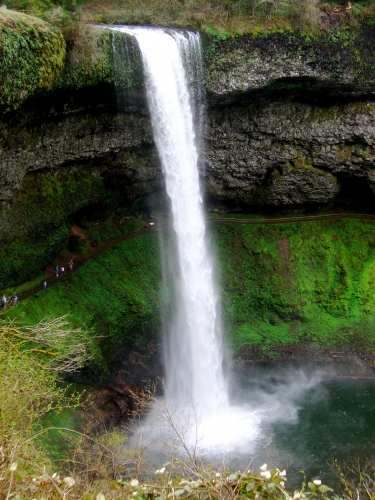 Waterfall Near Ga Cabin Rentals