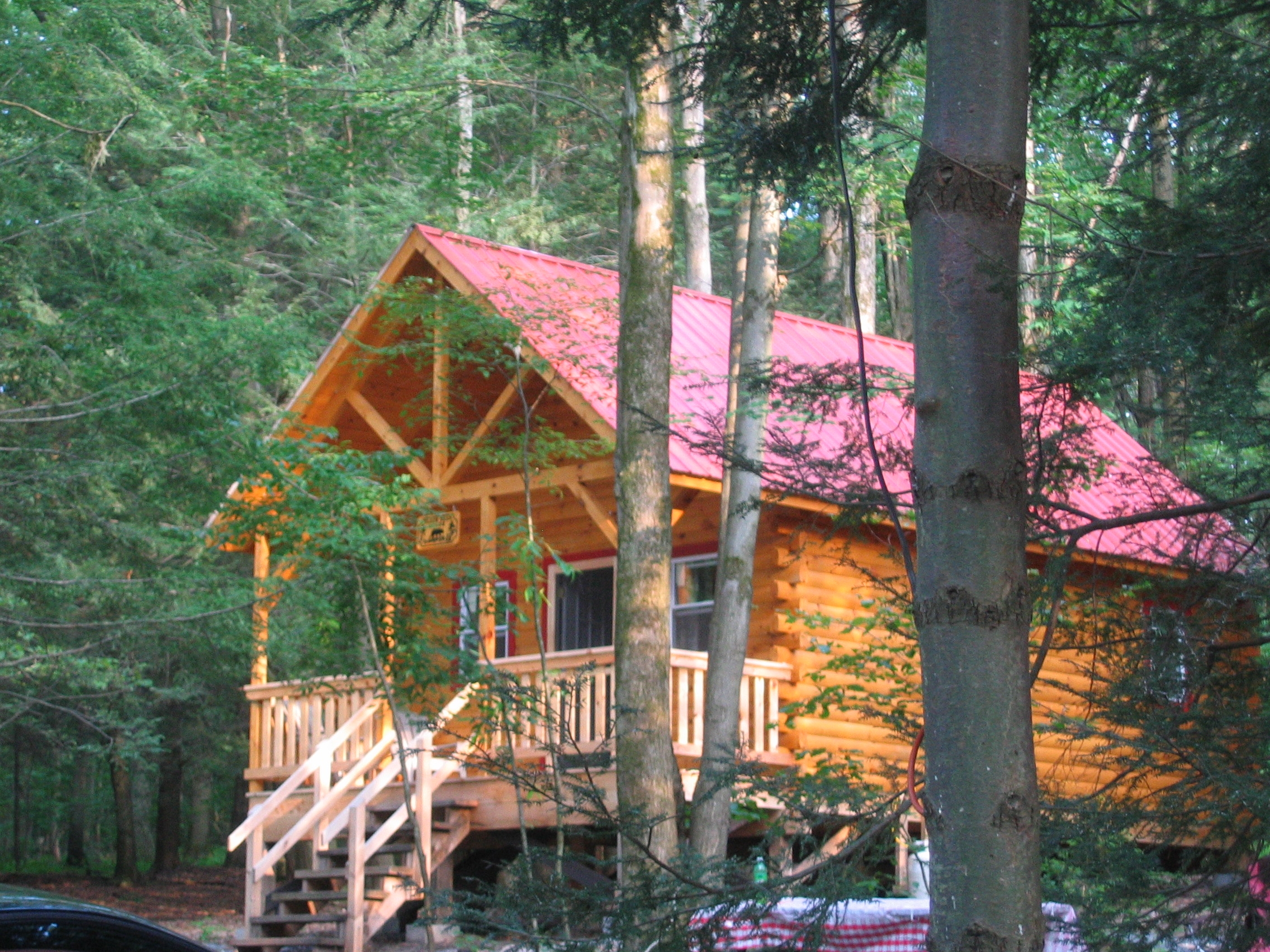 Georgia Cabin Rentals