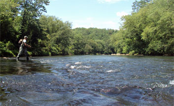 Fly Fishing Toccoa River Cabin Rentals