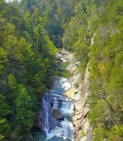 are dogs allowed at tallulah gorge