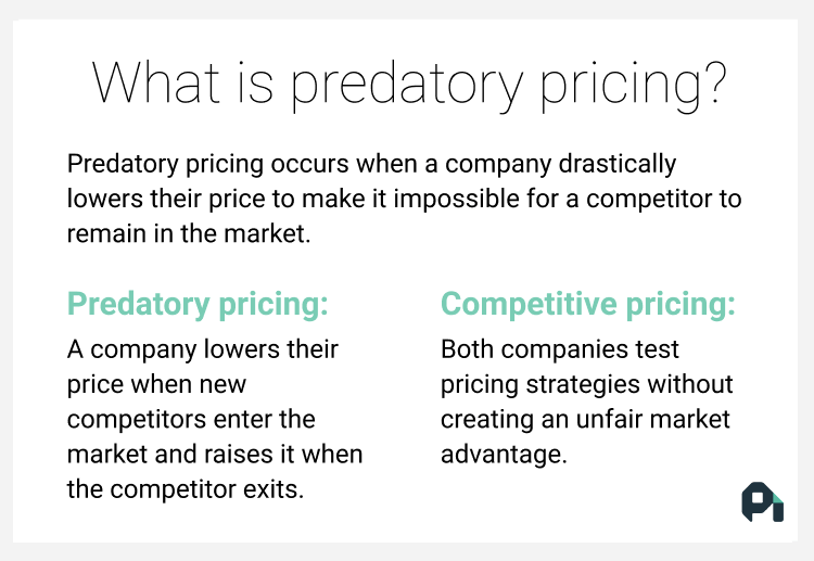 example of predatory pricing strategy