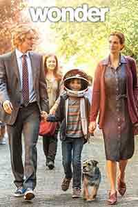 wonder-1