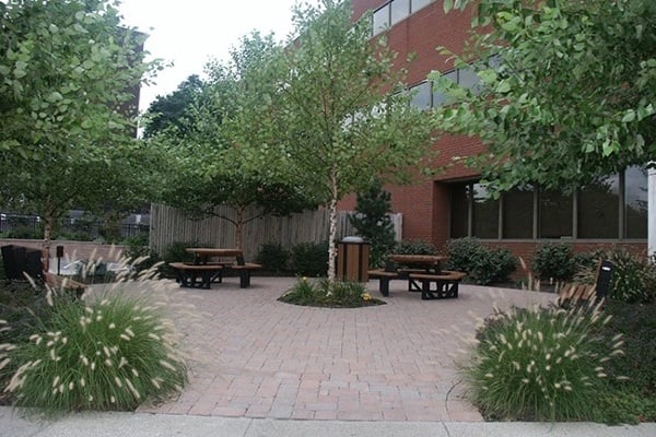 10_Corporate-Landscape-Organic-Native