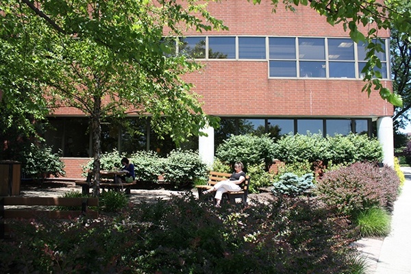 11_Corporate-Landscape-Organic-Native