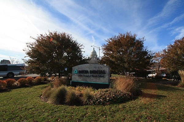 14_Corporate-Landscape-Organic-Native
