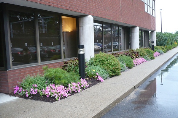 3_Corporate-Landscape-Organic-Native