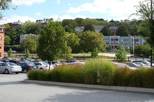 6_Corporate-Landscape-Organic-Native