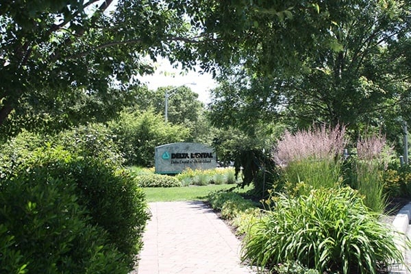 8_Corporate-Landscape-Organic-Native
