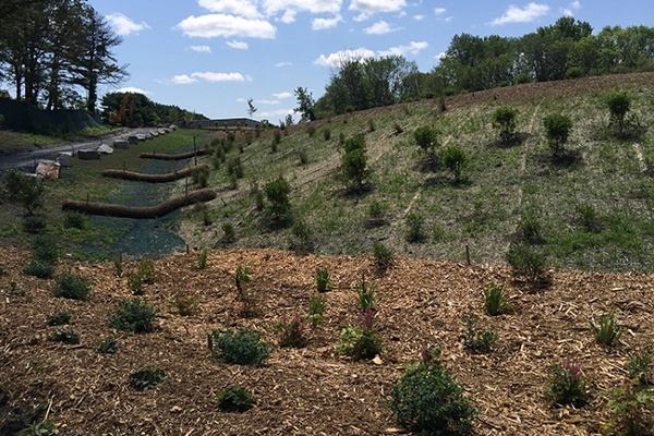 17-Planting