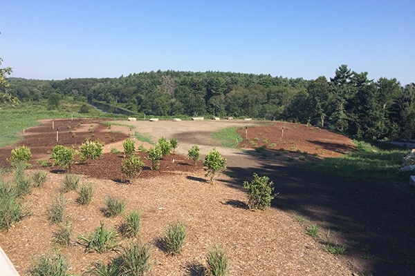 18-Planting