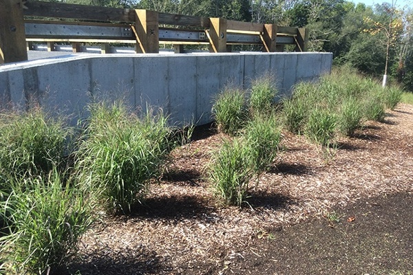 20-Planting