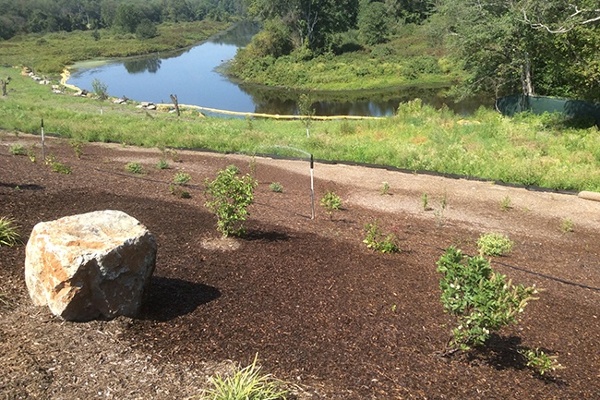 21Planting