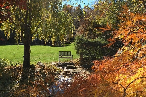 15-_Garden-Dreamscape