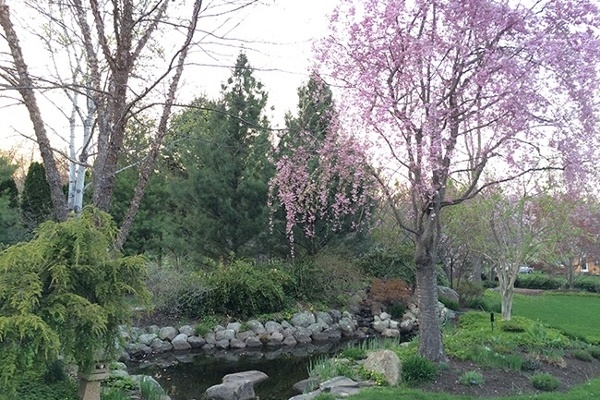 2-_Garden-Dreamscape