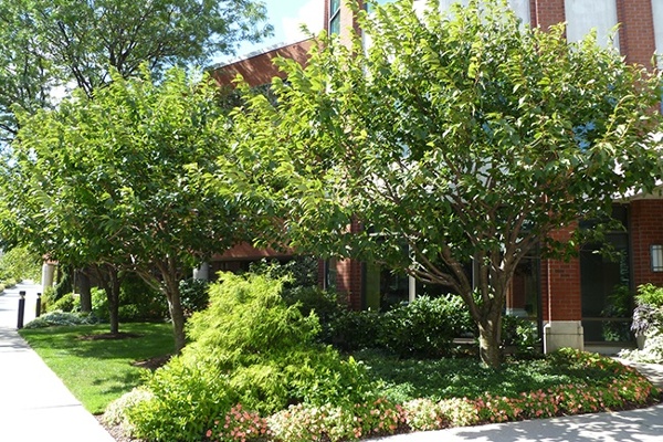 2-Commercial-Landscapes