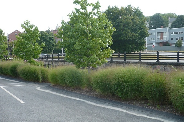 2-Environmental_Sustainability