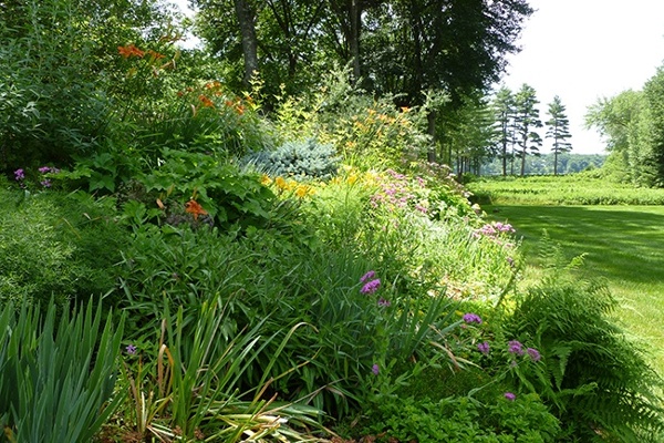 9-Environmental_Sustainability