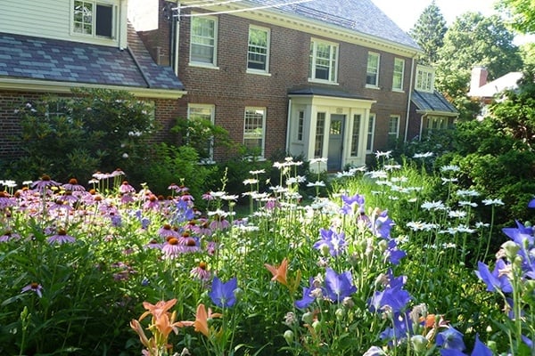 17-Residential-Landscape-Ideas