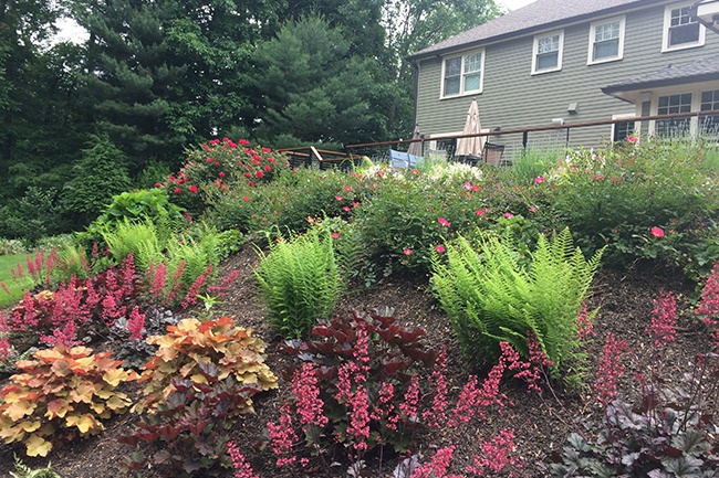 Residential Commercial Environmental Landscaping Services