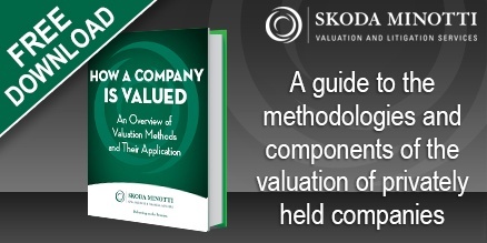 Download How a Company Is Valued