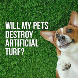 can dogs poop and pee on artificial grass