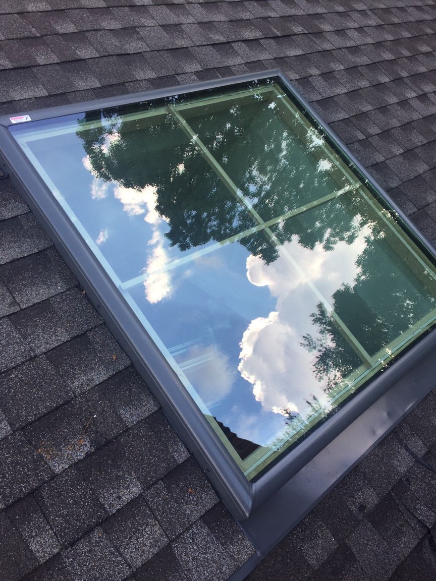 Fred Skylight.jpg