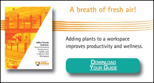 33 How To Get Rid Of Furniture Without A Fire Label - Labels Design Ideas 2020