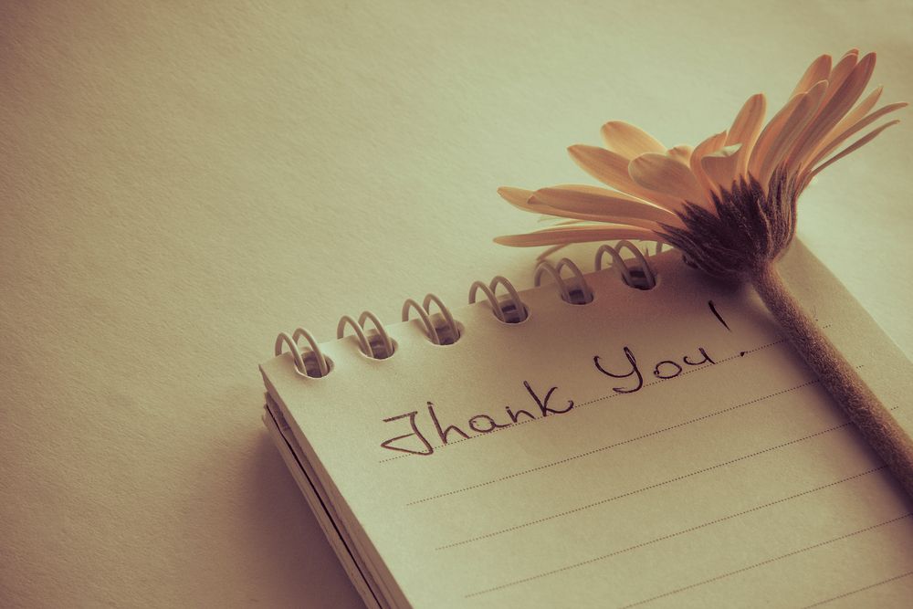 10 Thank You Page Examples That Totally Nailed Lead Nurturing