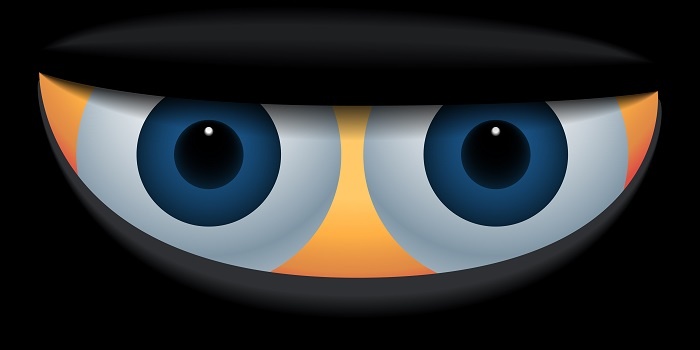 Beware the Ninja: Exposing English Words in Japanese