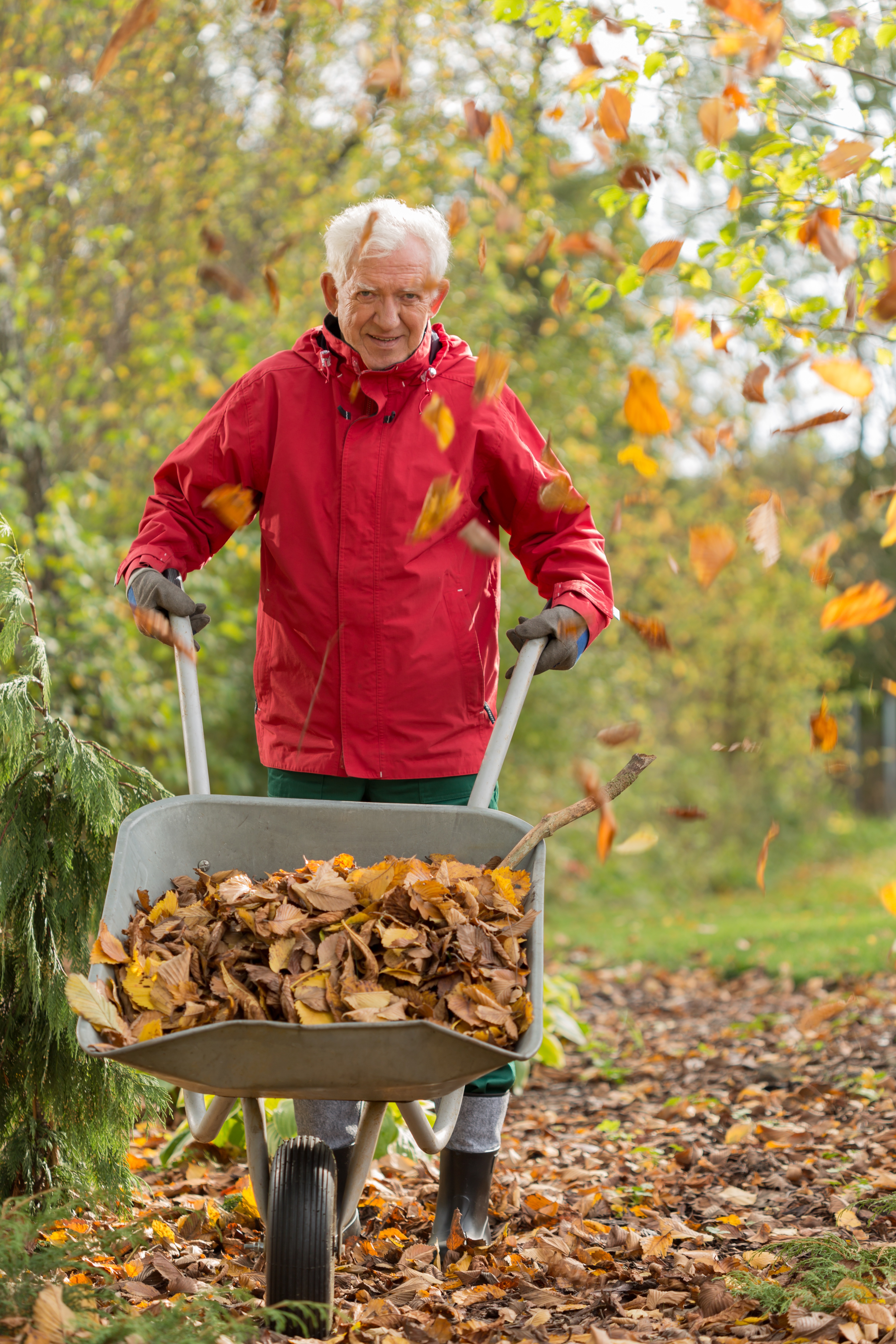 Older man raking.jpg