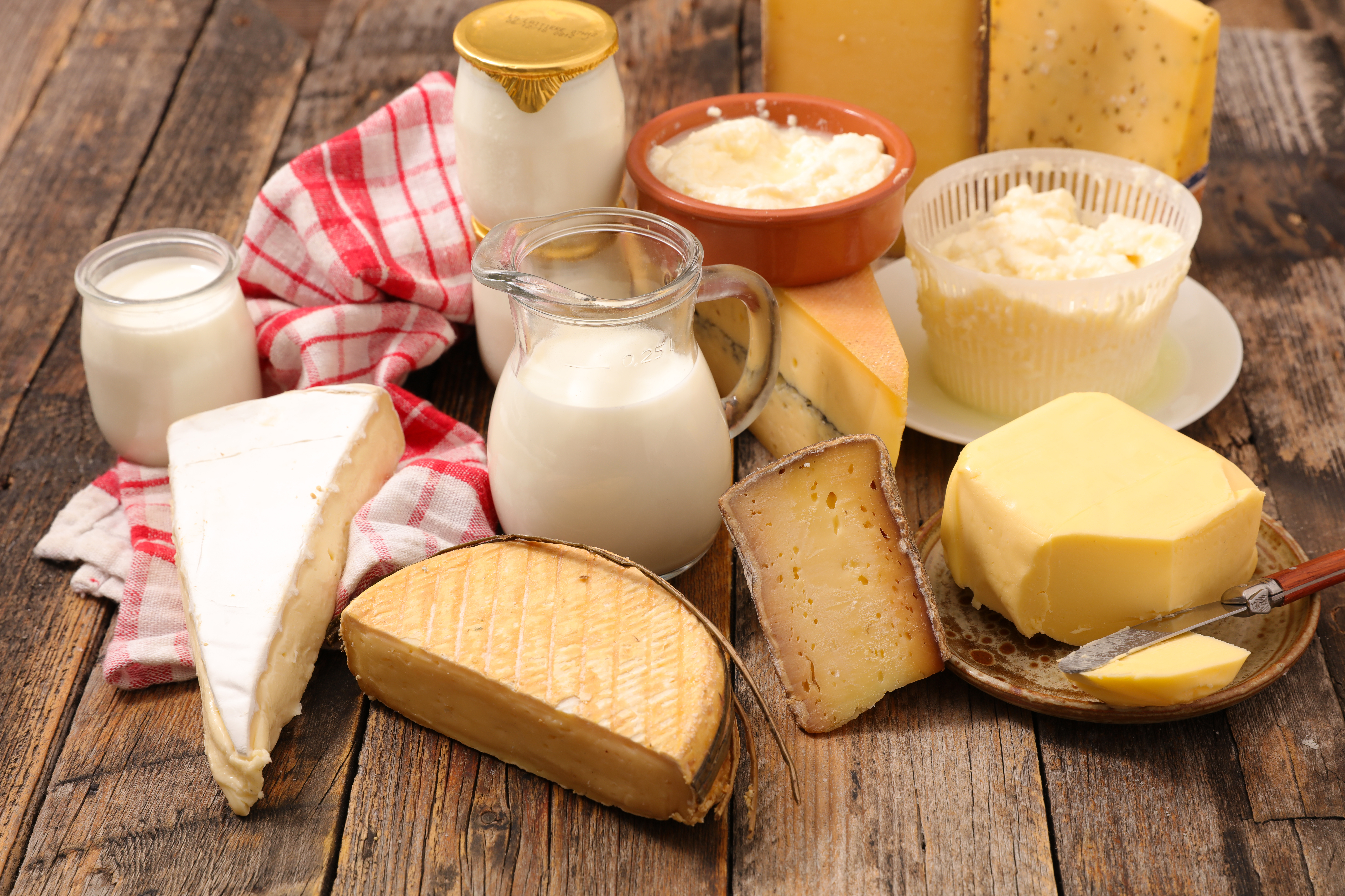 dairy products.jpg dairy products.jpg