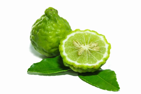 bergamot