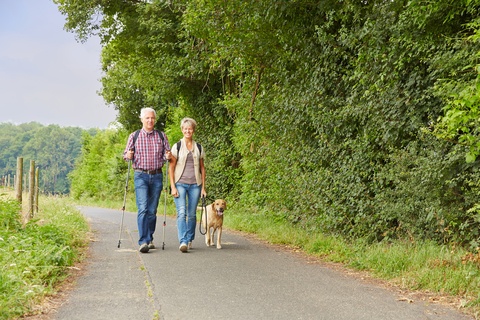 elderly couple walking a dog