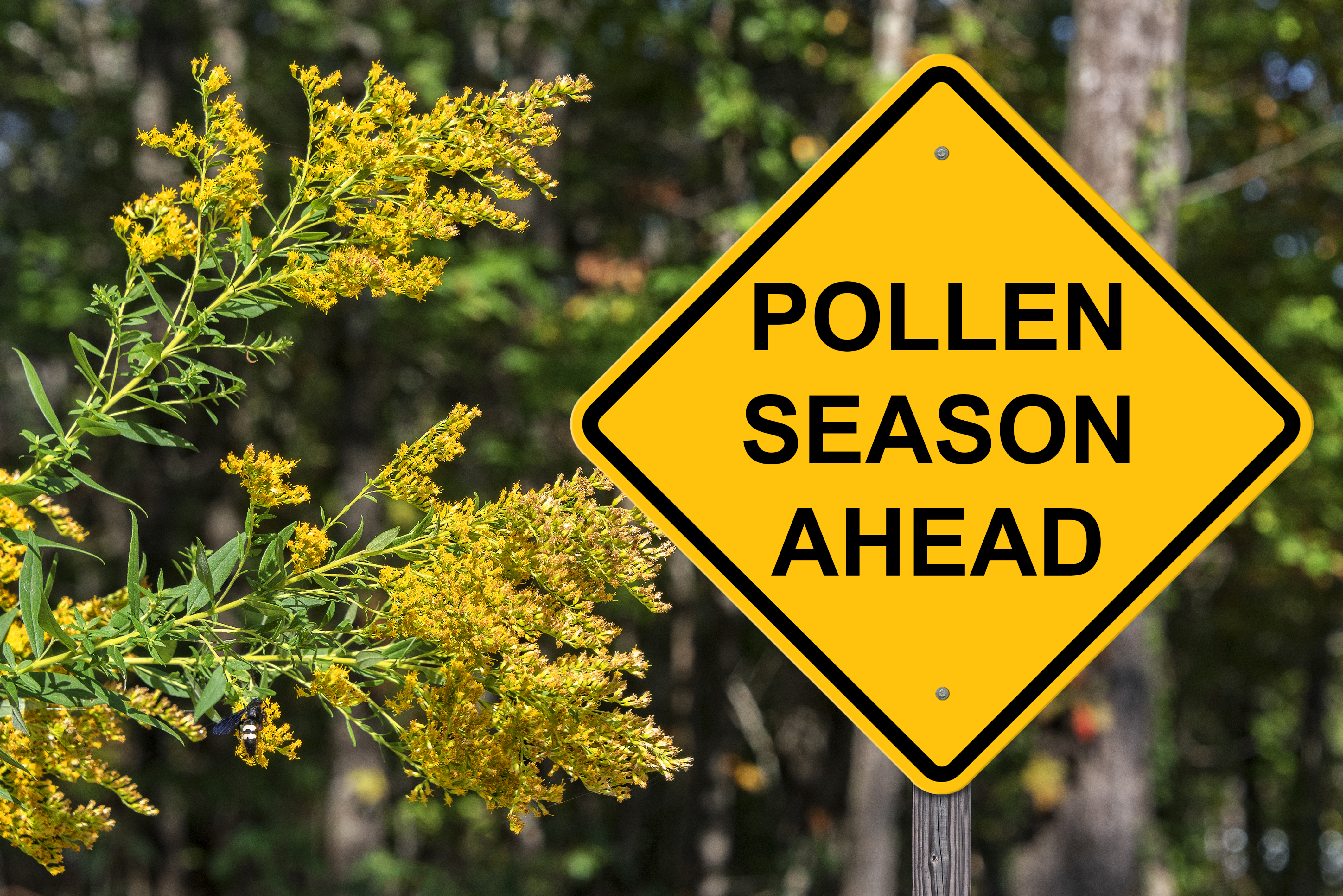 sign stating pollen season ahead