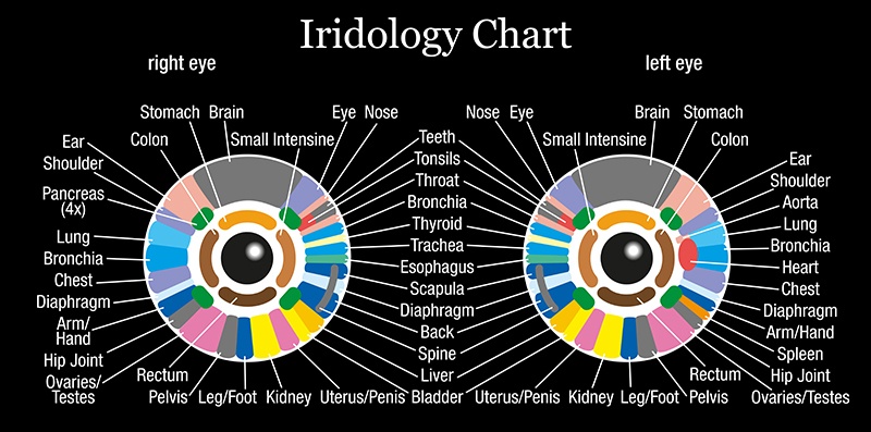 iridology.jpg