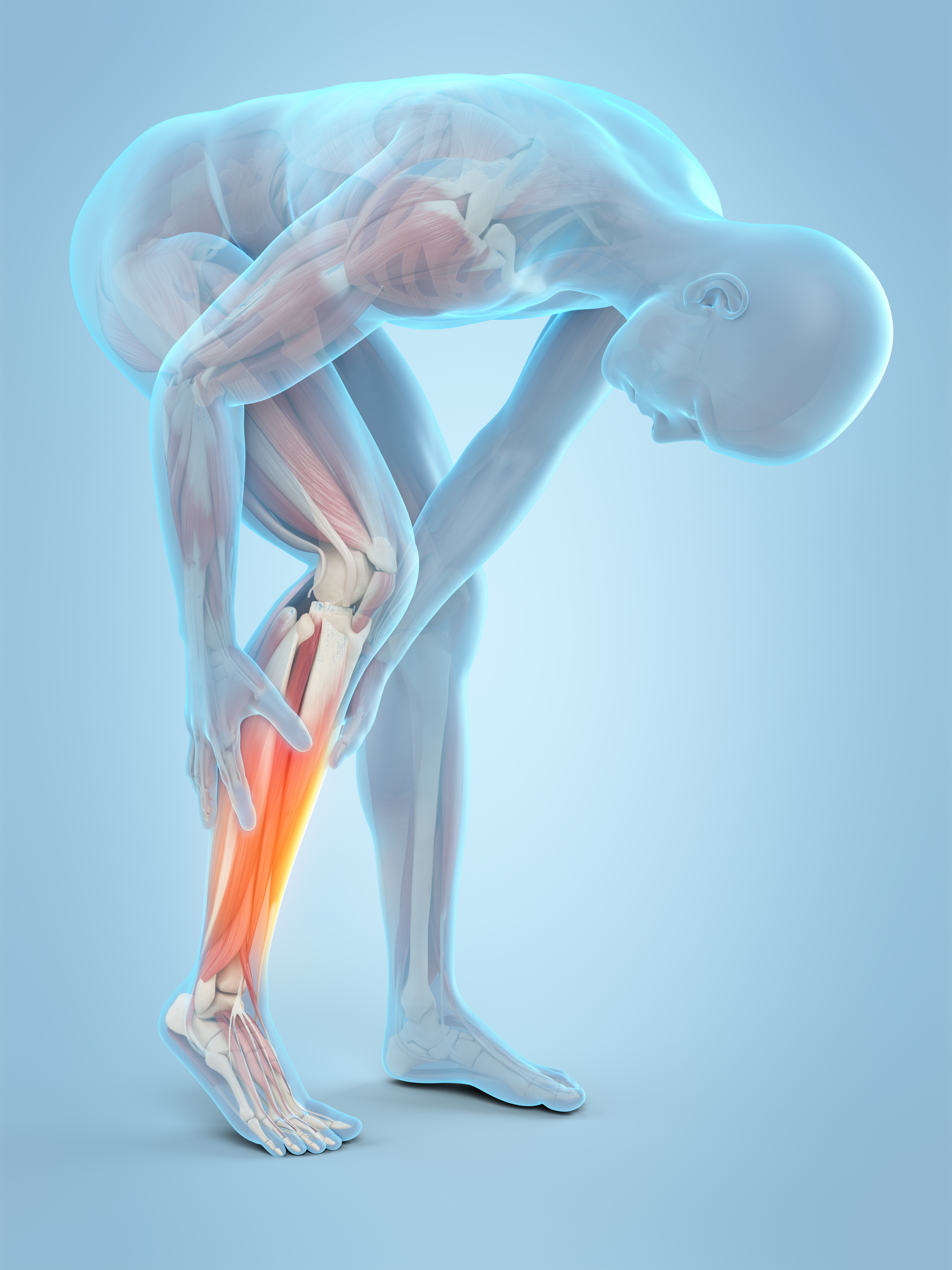 leg cramp2.jpg leg cramp2.jpg