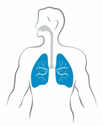 lungs_and_human_body_311974.jpg