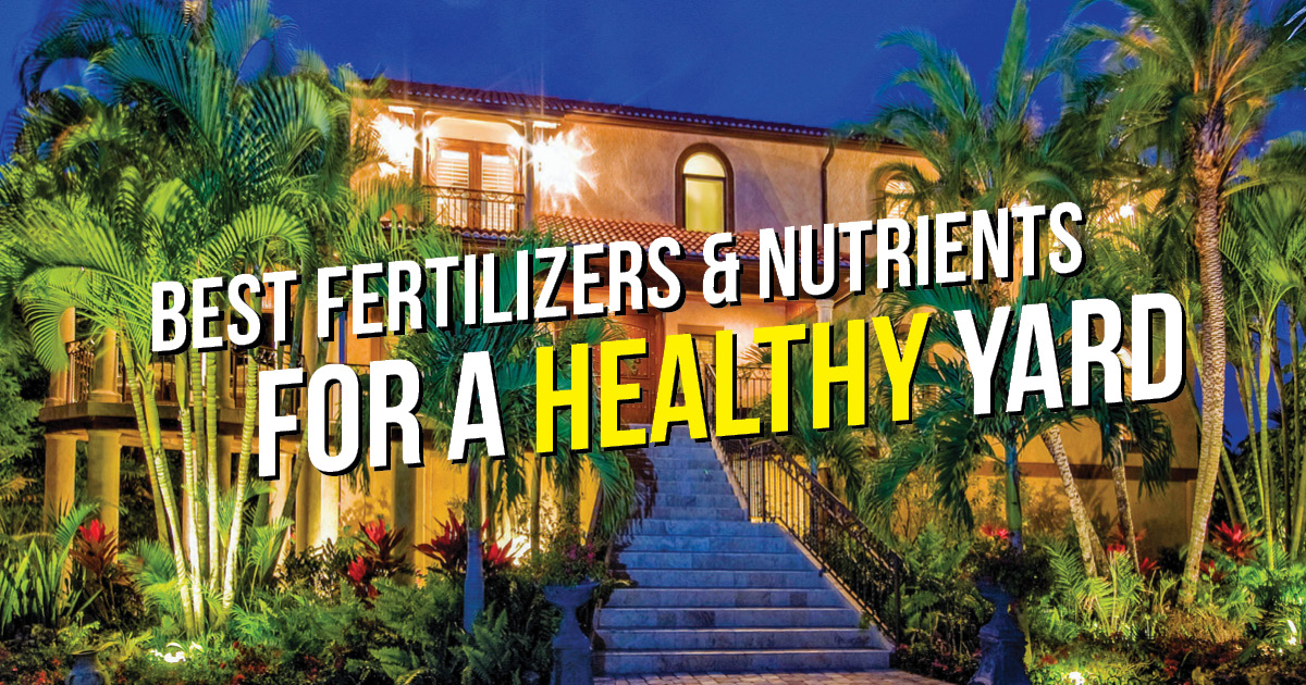 Best Fertilizers and Nutrients for a Healthy Yard