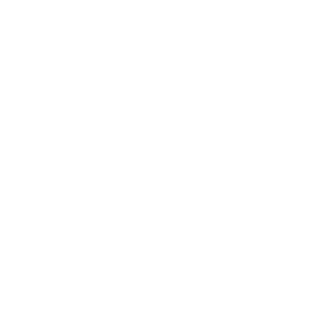 SOAPeopleReadyToBusiness