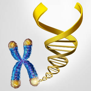 Top Aging Influencers to Know