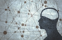 3 Brain Health Myths, Clarified