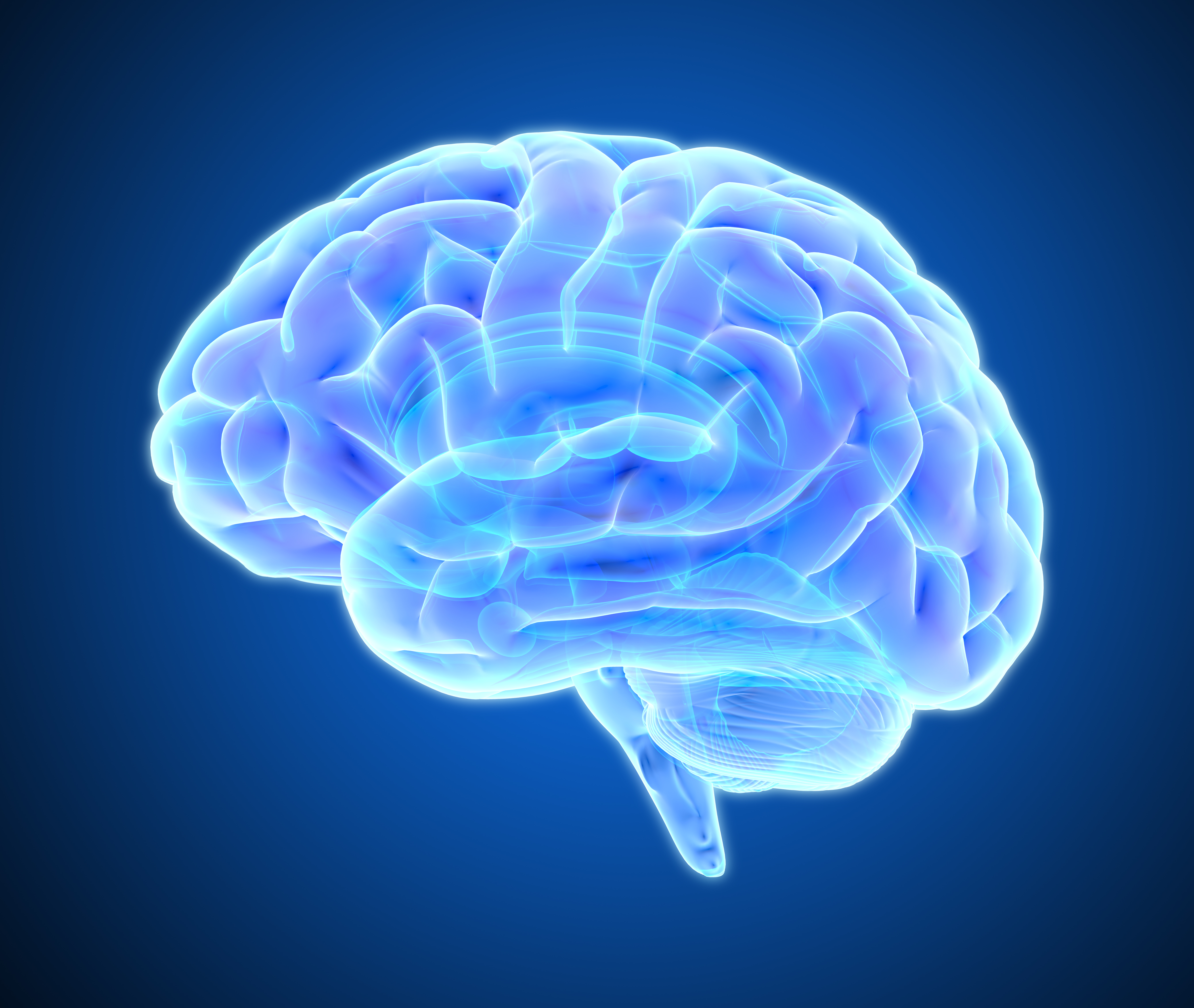 brain-study-male-female