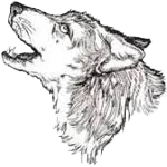 NH Prospect Mountain