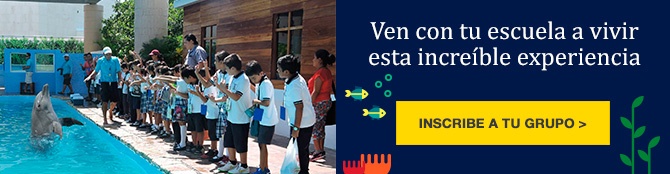 New Call-to-action