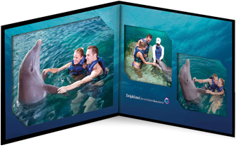Compra online las fotos de tu nado con delfines - Delphinus