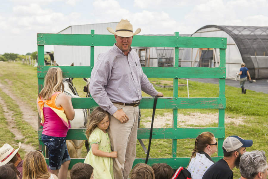 How Many Acres Do You Need For A Hobby Farm Or Homestead 