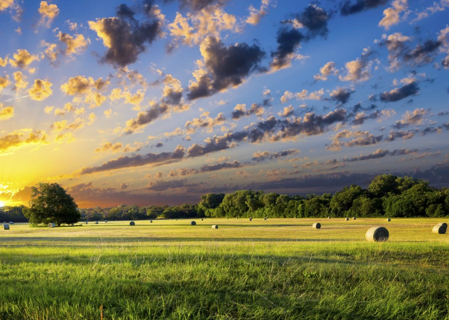 How to buy land in Texas | Rethink Rural Blog