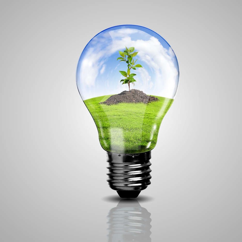 Electric light bulb and a plant inside it as symbol of green energy