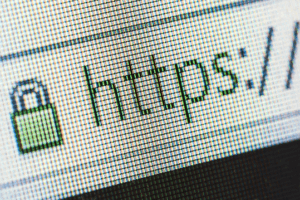 Https on web browser | Personal security